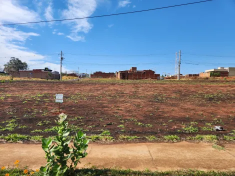 Alugar Terreno / Padr&atilde;o em S&atilde;o Jos&eacute; do Rio Preto. apenas R$ 179.000,00