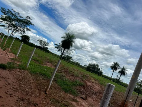 Comprar Terreno / &Aacute;rea em Potirendaba R$ 350.000,00 - Foto 6