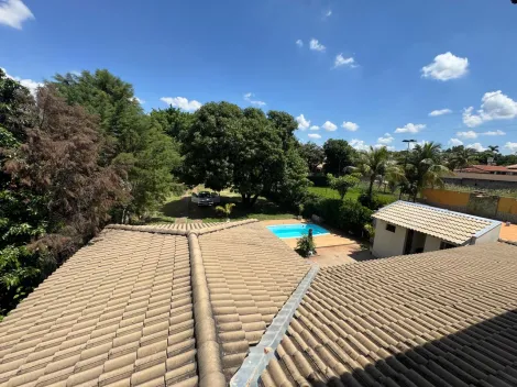 Comprar Rural / Ch&aacute;cara em Cedral R$ 750.000,00 - Foto 4