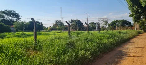Comprar Rural / Ch&aacute;cara em S&atilde;o Jos&eacute; do Rio Preto R$ 800.000,00 - Foto 7