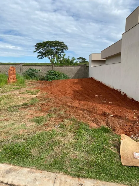 Comprar Terreno / Condom&iacute;nio em Bady Bassitt R$ 200.000,00 - Foto 2