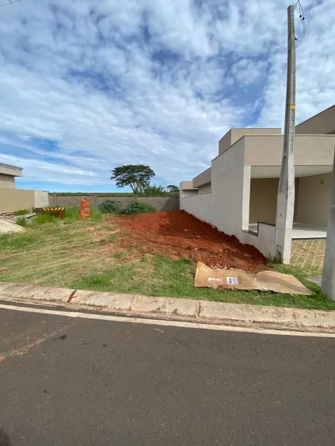 Comprar Terreno / Condom&iacute;nio em Bady Bassitt R$ 200.000,00 - Foto 3