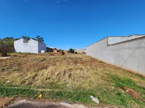 Terreno / Padr&atilde;o em S&atilde;o Jos&eacute; do Rio Preto 