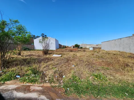 Terreno / Padr&atilde;o em S&atilde;o Jos&eacute; do Rio Preto 