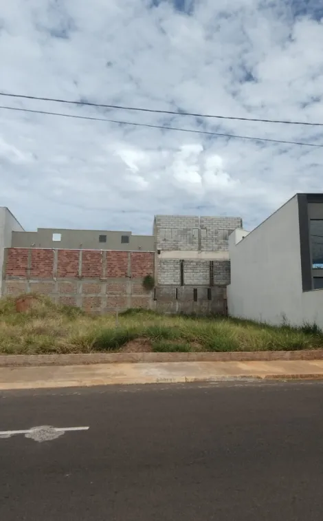 Terreno / &Aacute;rea em Mirassol 