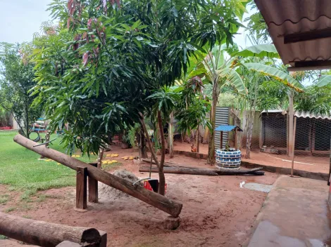 Alugar Rural / Ch&aacute;cara em S&atilde;o Jos&eacute; do Rio Preto R$ 2.500,00 - Foto 15