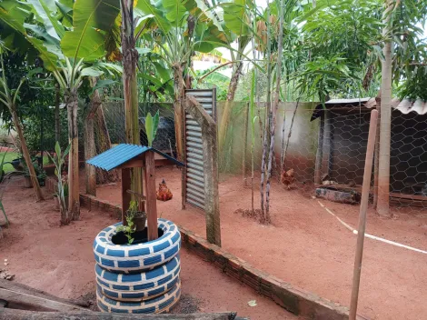 Alugar Rural / Ch&aacute;cara em S&atilde;o Jos&eacute; do Rio Preto R$ 2.500,00 - Foto 16