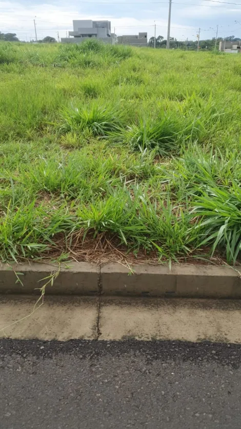 Alugar Terreno / Condom&iacute;nio em S&atilde;o Jos&eacute; do Rio Preto. apenas R$ 253.000,00