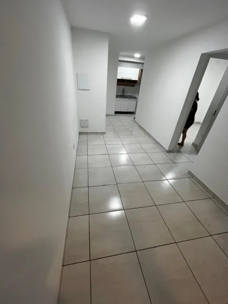Comprar Apartamento / Padr&atilde;o em S&atilde;o Jos&eacute; do Rio Preto R$ 300.000,00 - Foto 9