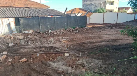 Comprar Terreno / &Aacute;rea em Bady Bassitt R$ 5.200.000,00 - Foto 3
