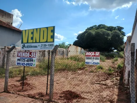 Terreno / &Aacute;rea em Bady Bassitt 