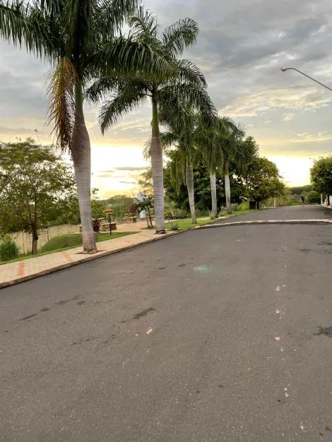 Comprar Casa / Condom&iacute;nio em Mirassol R$ 1.350.000,00 - Foto 22