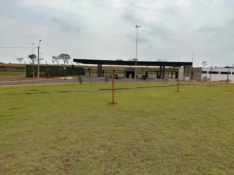 Alugar Terreno / Condom&iacute;nio em S&atilde;o Jos&eacute; do Rio Preto. apenas R$ 320.000,00