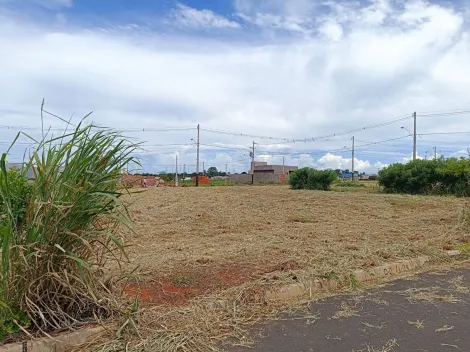 Terreno / Padr&atilde;o em Uchoa 