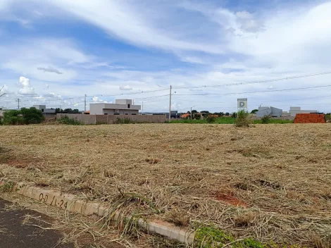 Comprar Terreno / Padr&atilde;o em Uchoa R$ 45.000,00 - Foto 2