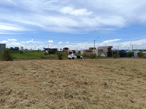 Comprar Terreno / Padr&atilde;o em Uchoa R$ 45.000,00 - Foto 3