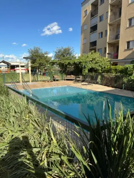 Alugar Apartamento / Padr&atilde;o em S&atilde;o Jos&eacute; do Rio Preto. apenas R$ 1.400,00