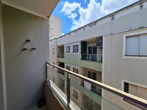 Alugar Apartamento / Padr&atilde;o em S&atilde;o Jos&eacute; do Rio Preto R$ 900,00 - Foto 3