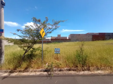 Terreno / Padr&atilde;o em S&atilde;o Jos&eacute; do Rio Preto 