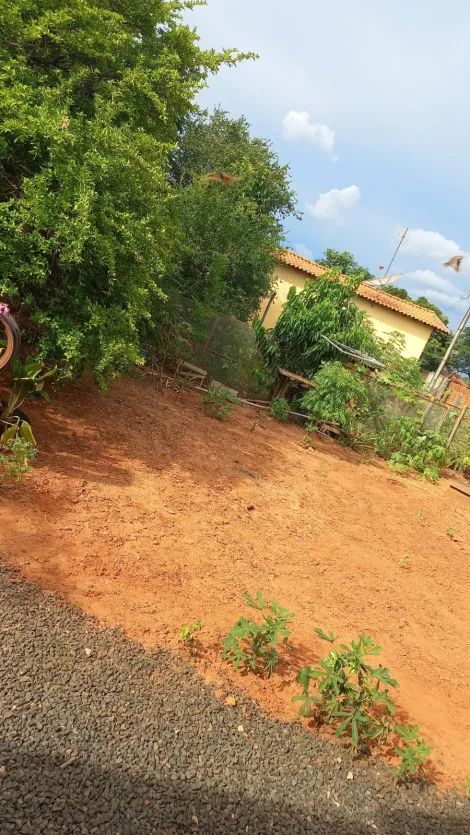 Comprar Rural / Ch&aacute;cara em Meridiano R$ 1.600.000,00 - Foto 9