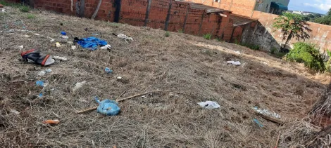 Terreno / Padr&atilde;o em S&atilde;o Jos&eacute; do Rio Preto 
