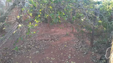 Comprar Terreno / Padr&atilde;o em Bady Bassitt R$ 210.000,00 - Foto 2