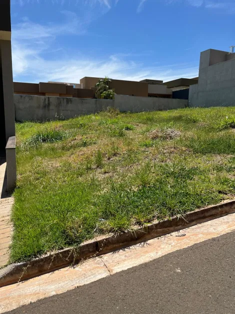 Comprar Terreno / Condom&iacute;nio em S&atilde;o Jos&eacute; do Rio Preto R$ 230.000,00 - Foto 5