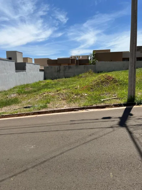 Comprar Terreno / Condom&iacute;nio em S&atilde;o Jos&eacute; do Rio Preto R$ 230.000,00 - Foto 6