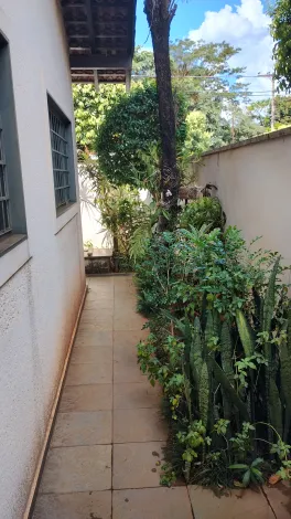 Comprar Casa / Padr&atilde;o em S&atilde;o Jos&eacute; do Rio Preto R$ 750.000,00 - Foto 28