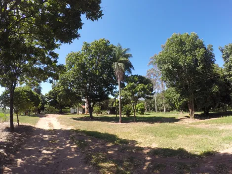 Comprar Rural / Fazenda em Auriflama R$ 12.000.000,00 - Foto 9