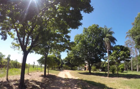 Comprar Rural / Fazenda em Auriflama R$ 12.000.000,00 - Foto 10