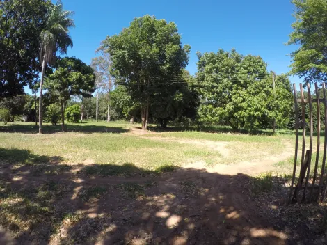 Comprar Rural / Fazenda em Auriflama R$ 12.000.000,00 - Foto 11