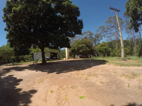 Comprar Rural / Fazenda em Auriflama R$ 12.000.000,00 - Foto 12