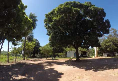 Comprar Rural / Fazenda em Auriflama R$ 12.000.000,00 - Foto 13