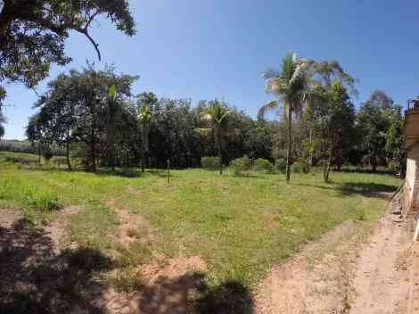 Comprar Rural / Fazenda em Auriflama R$ 12.000.000,00 - Foto 16