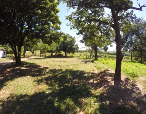 Comprar Rural / Fazenda em Auriflama R$ 12.000.000,00 - Foto 17