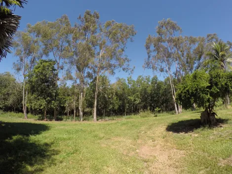 Comprar Rural / Fazenda em Auriflama R$ 12.000.000,00 - Foto 18