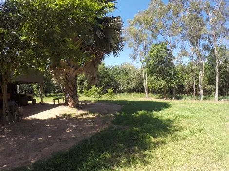 Comprar Rural / Fazenda em Auriflama R$ 12.000.000,00 - Foto 19