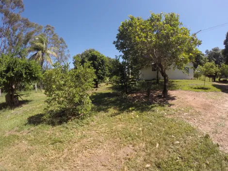 Comprar Rural / Fazenda em Auriflama R$ 12.000.000,00 - Foto 20