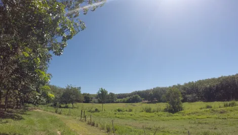 Comprar Rural / Fazenda em Auriflama R$ 12.000.000,00 - Foto 21