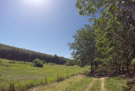 Comprar Rural / Fazenda em Auriflama R$ 12.000.000,00 - Foto 22