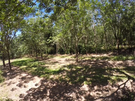 Comprar Rural / Fazenda em Auriflama R$ 12.000.000,00 - Foto 26
