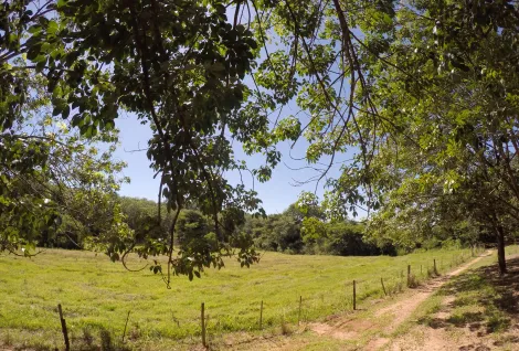Comprar Rural / Fazenda em Auriflama R$ 12.000.000,00 - Foto 29