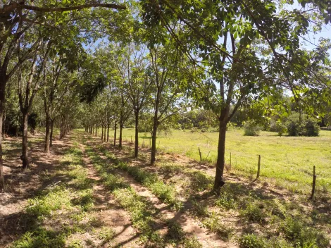 Comprar Rural / Fazenda em Auriflama R$ 12.000.000,00 - Foto 30