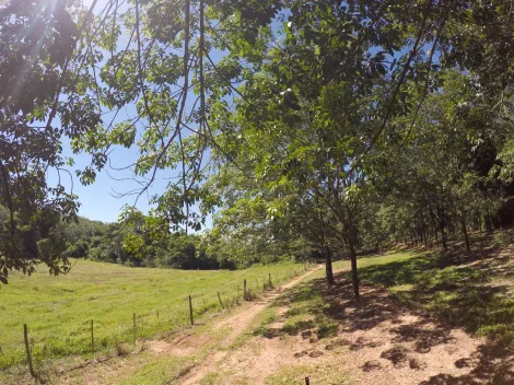 Comprar Rural / Fazenda em Auriflama R$ 12.000.000,00 - Foto 31