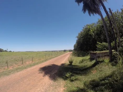 Comprar Rural / Fazenda em Auriflama R$ 12.000.000,00 - Foto 33