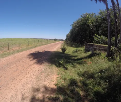 Comprar Rural / Fazenda em Auriflama R$ 12.000.000,00 - Foto 35