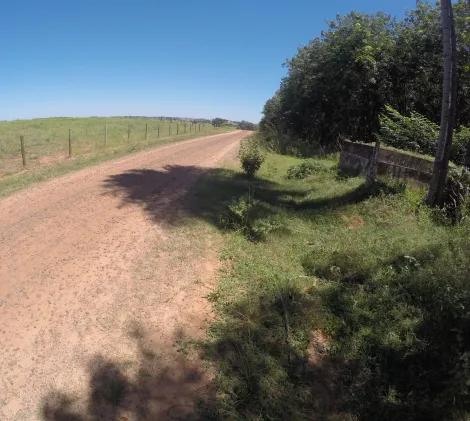 Comprar Rural / Fazenda em Auriflama R$ 12.000.000,00 - Foto 36