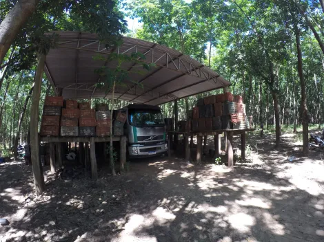 Comprar Rural / Fazenda em Auriflama R$ 12.000.000,00 - Foto 38