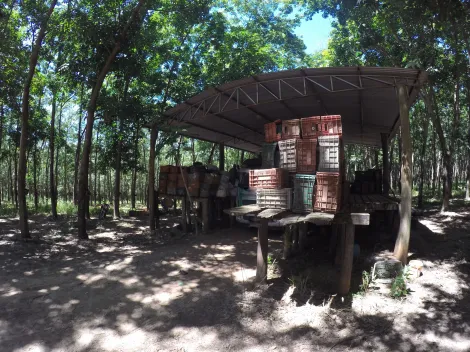 Comprar Rural / Fazenda em Auriflama R$ 12.000.000,00 - Foto 39